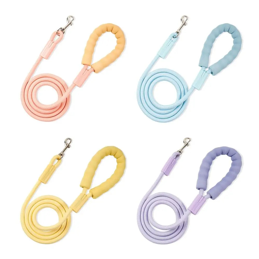 Dopamine Collection Dog Leash