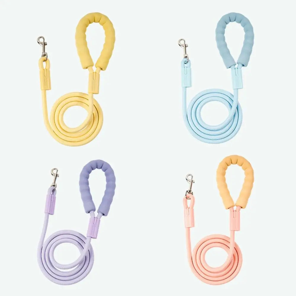Dopamine Collection Dog Leash