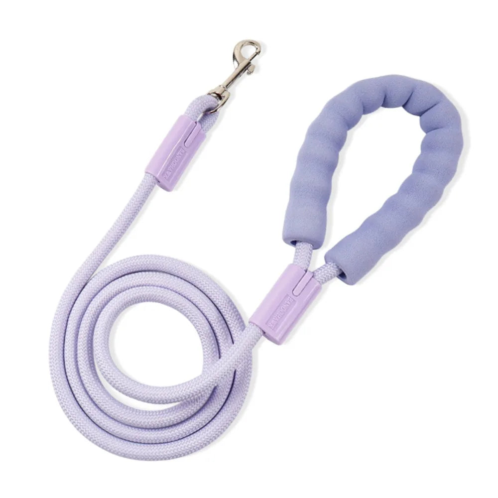 Dopamine Collection Dog Leash