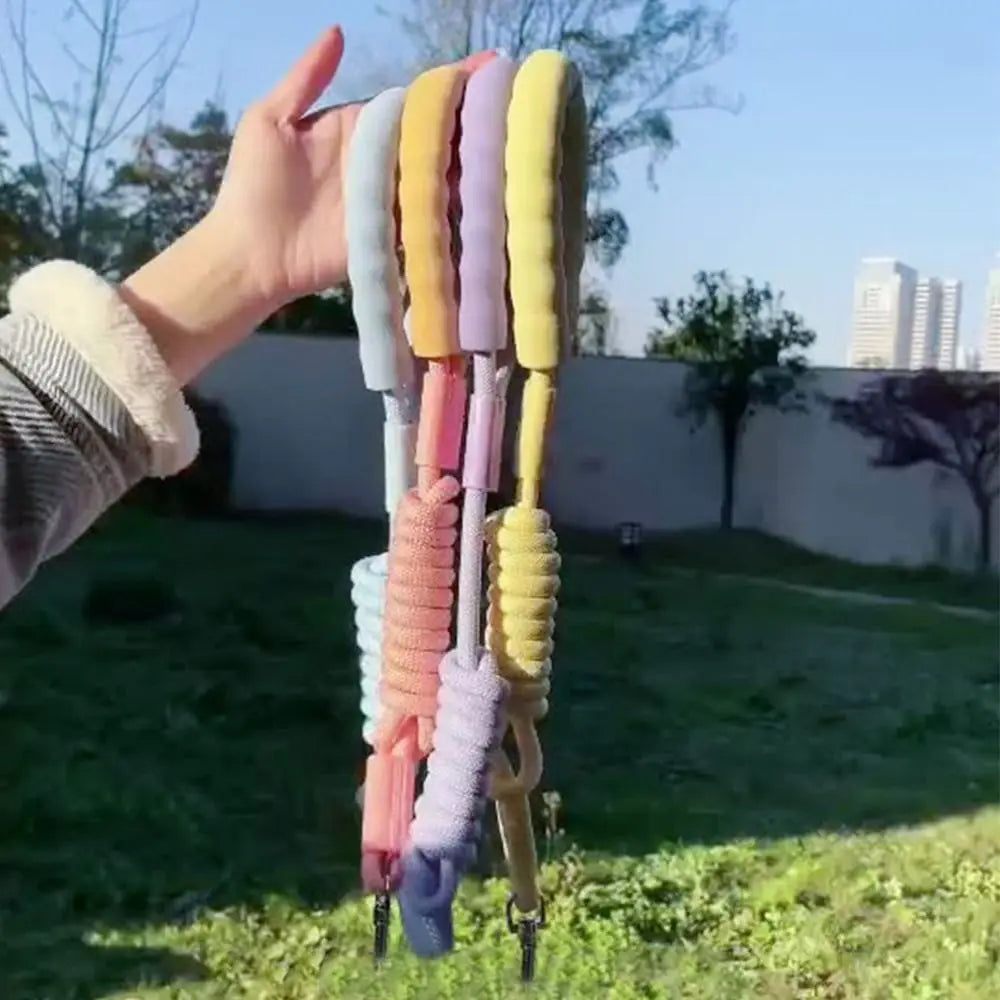 Dopamine Collection Dog Leash