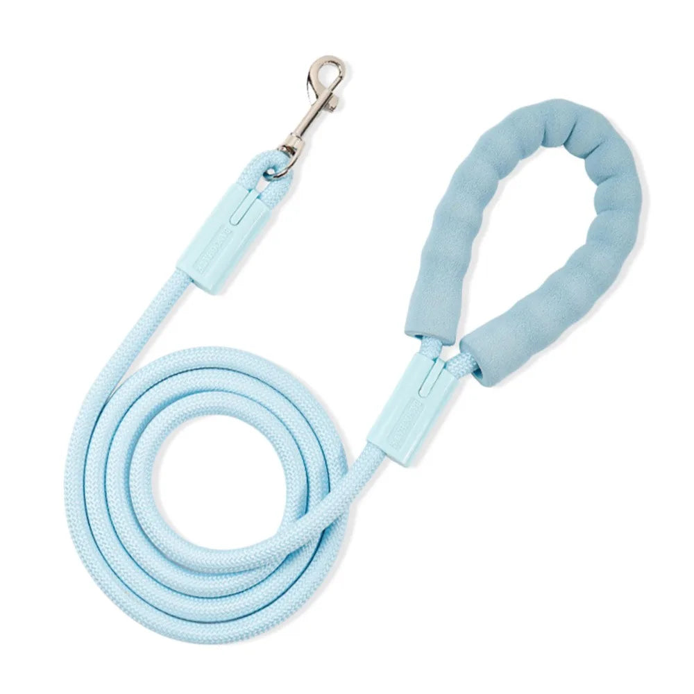 Dopamine Collection Dog Leash