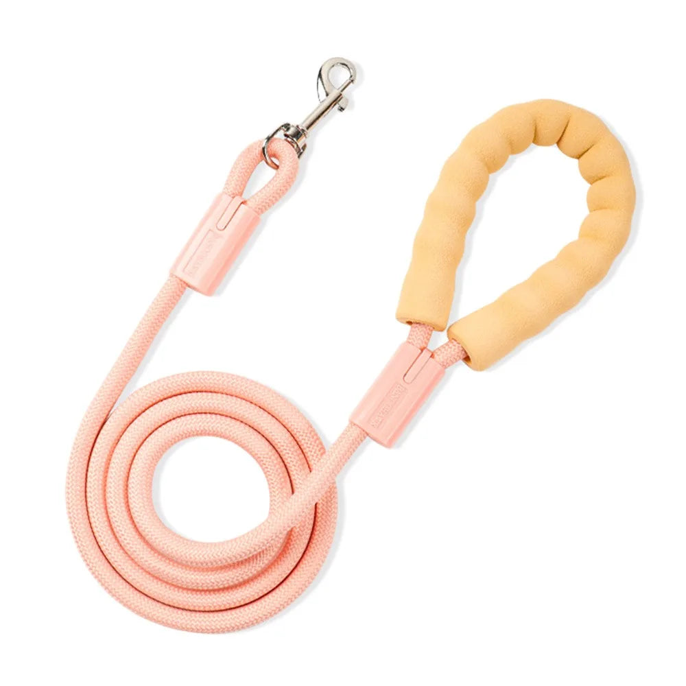 Dopamine Collection Dog Leash