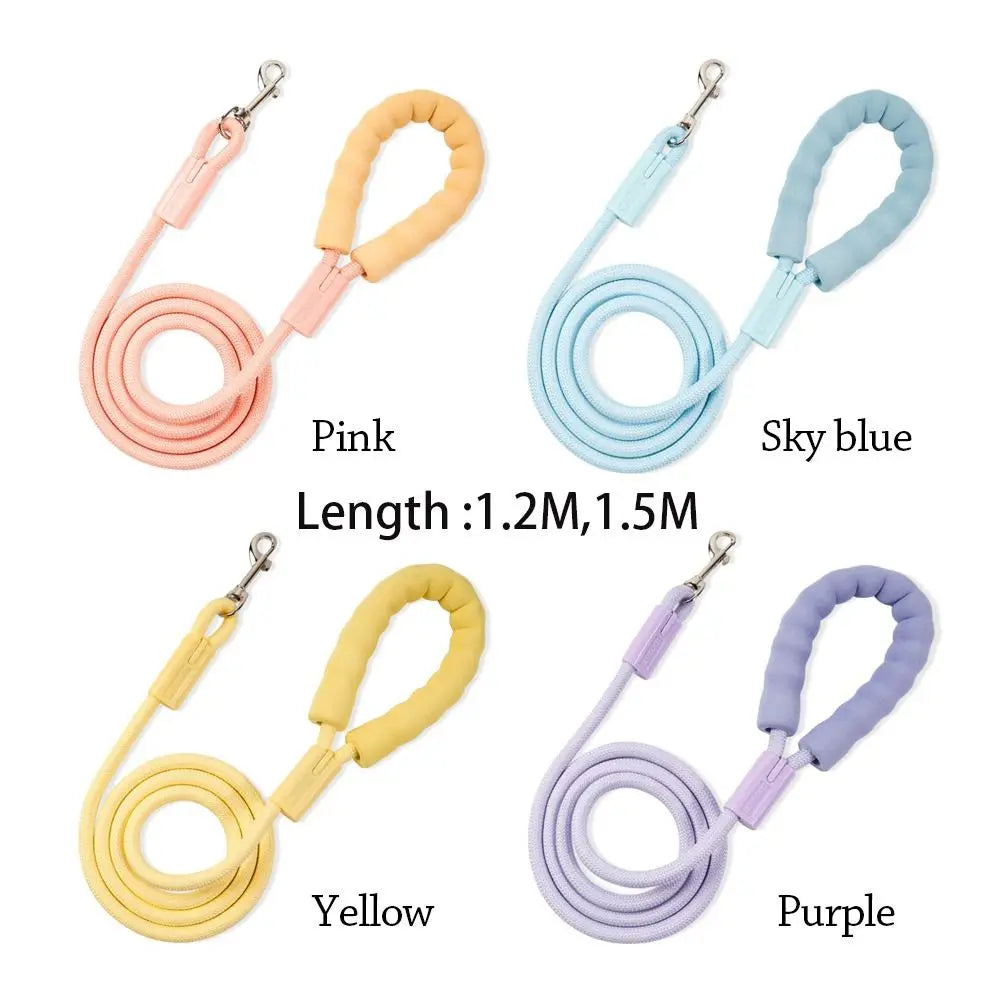 Dopamine Collection Dog Leash