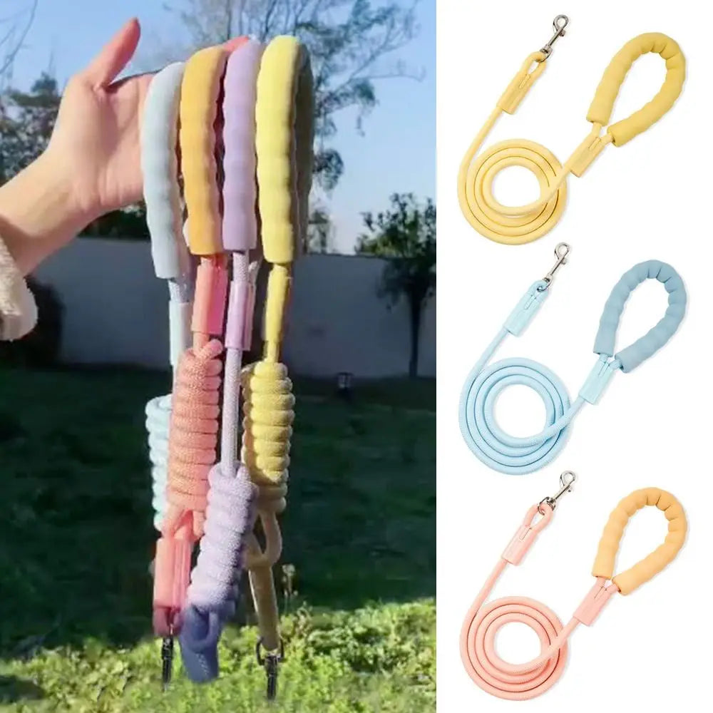 Dopamine Collection Dog Leash