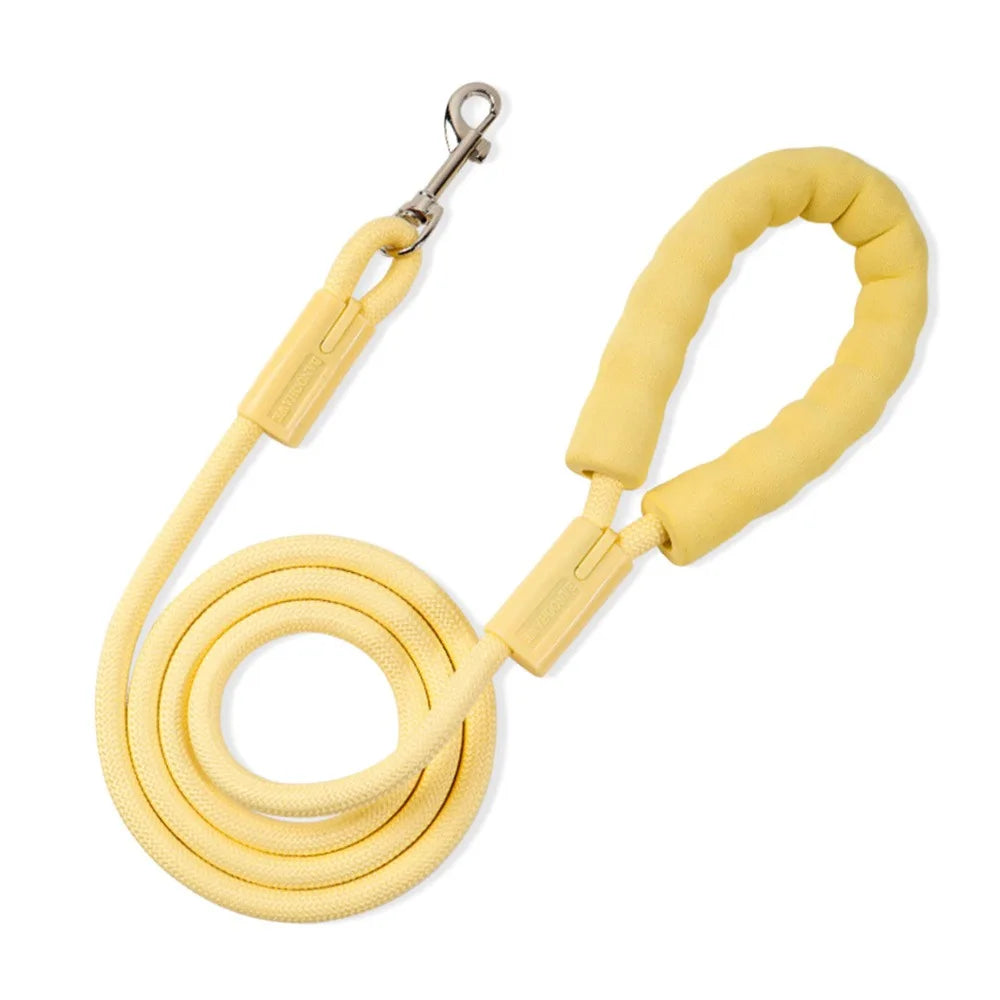 Dopamine Collection Dog Leash